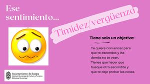 Timidez Vergüenza