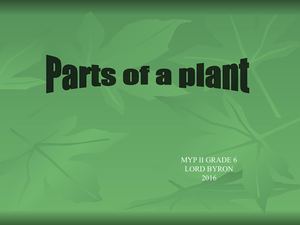 16parts Of A Plant