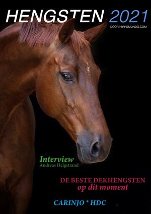 Hippomundo Hengstenboek 2021