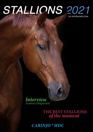 Hippomundo Stallions 2021
