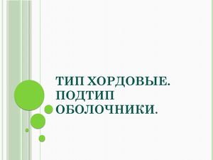 ТИП ХОРДОВЫЕ. ПОДТИП ОБОЛОЧНИКИ.Асцидии