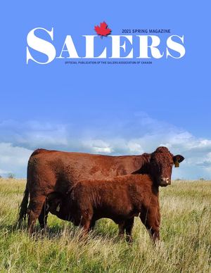 2021 Spring Magazine Web