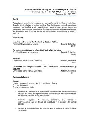 Hoja De Vida Luis David Elorza R