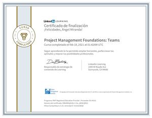 PMI Foundations Teams