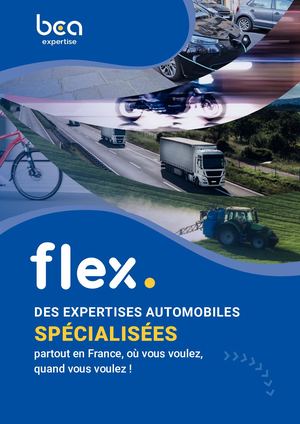 Présentation Flex - Les spécialistes BCA Expertise