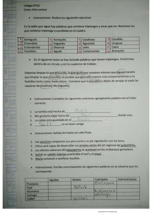 Hoja De Trabajo, Hiato, Triptongos, Acento Segun Documento