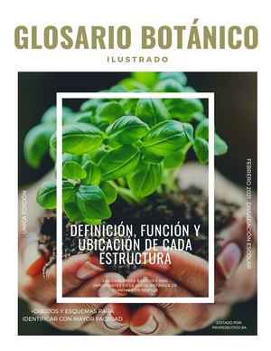 Glosario Botánica (Ilustrado)
