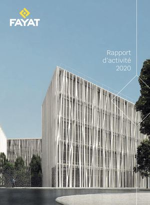 Rapport Activite Fayat 2020 FR