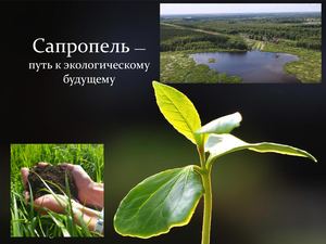 Презентация Сапропель, его добыча и переработка