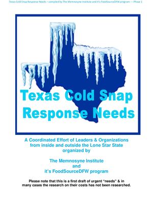 Texas Cold Snap Response Needs