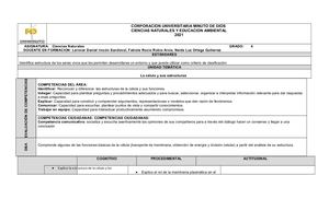 Plan De Clase  La Célula Sexto (1).