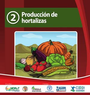 Huertas Producción De Hortalizas Bolivia