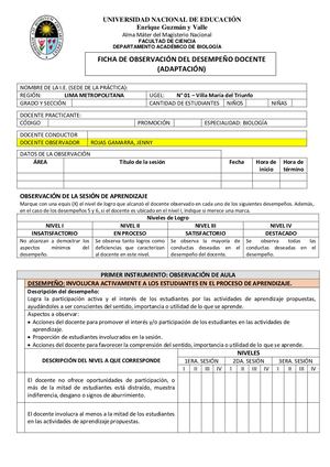 FICHA DE EVALUACIÓN DEL DESEMPEÑO DOCENTE