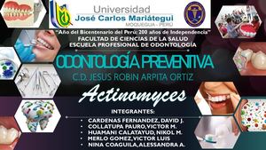 Actinomyces Viscosus Y Naeslundii