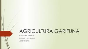 Agricultura Garifuna