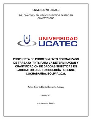 Proyecto De Investigación Word