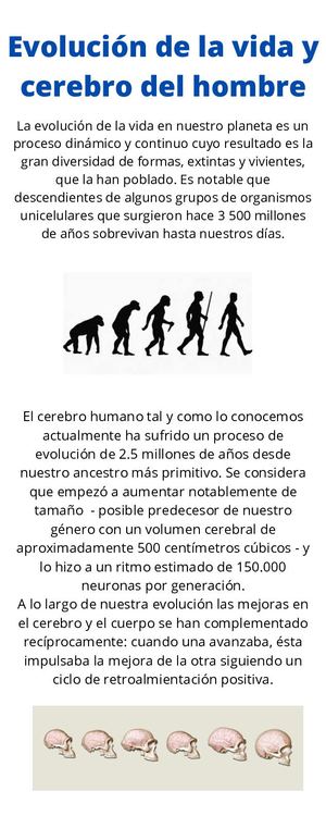 Actividad 1. Conociendo el Neuromarketing