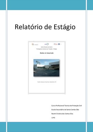 Relatório Profissional