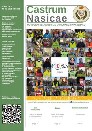 Castrum Nasicae 01