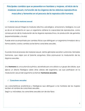 Revista