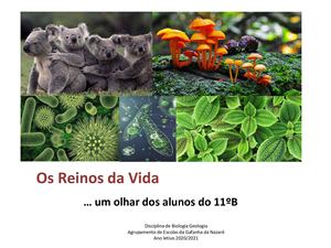 11 B Reinos_21
