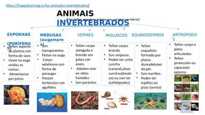 Animais Invertebrados