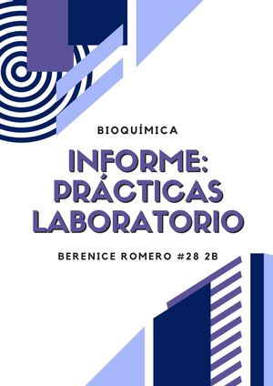 Informe Prácticas De Laboratorio