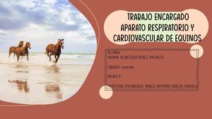 Maqueta Encargada Equino