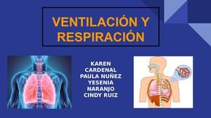 Cartilla Ventilación Y Respiración