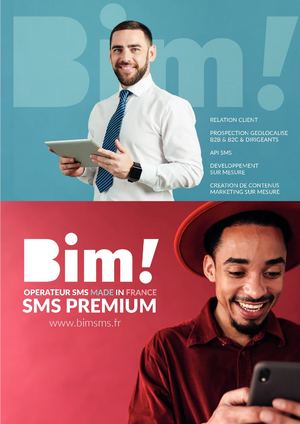 BIM SMS : envoi sms en masse, api sms