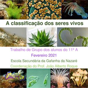 A Classificação Dos Seres Vivos