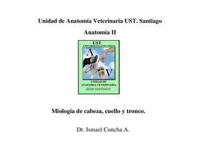 Anatomia 1