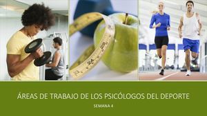 ÁReas De Trabajo De Los Psicólogos Del Deporte