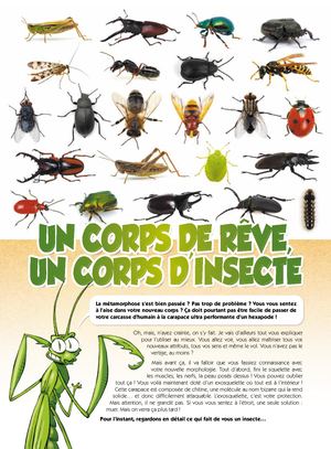 DOSSIER : INSECTES (LES)_  LES  CARACTERISTIQUES DES INSECTES