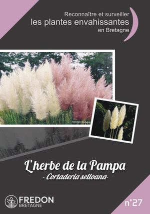 27-L'herbe de la Pampa