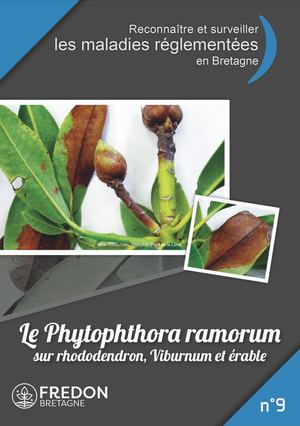 9- Le Phytophthora Ramorum