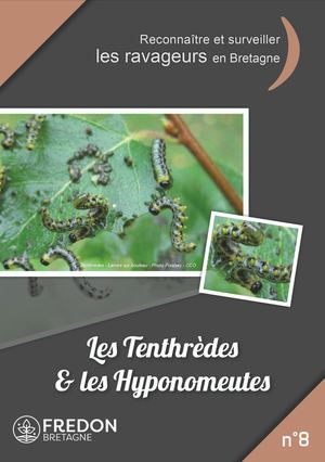 8- Les Tenthrèdes & Les Hyponomeutes