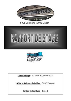 Rapport De Stage
