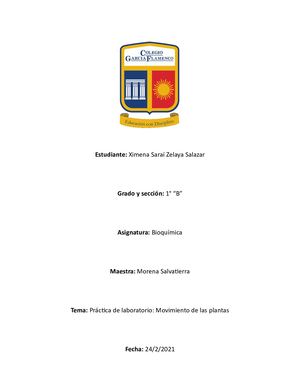 Práctica De Laboratorio Movimiento De Las Plantas