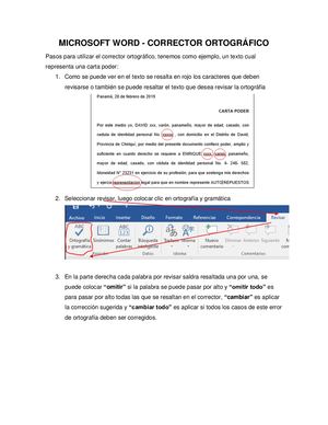 210224 Corrector En Word Davineth Delgado