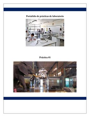Portafolio De Prácticas De Laboratorio