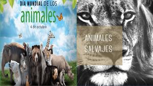 Revista Animales Salvajes