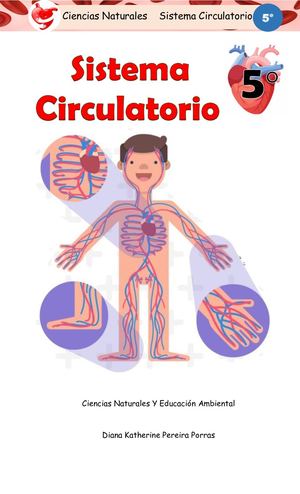 Taller Sistema Circulatorio 5