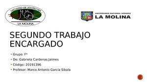 Sistema Respiratorio Y Circulatorio En Bovinos