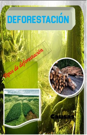 Reforestación