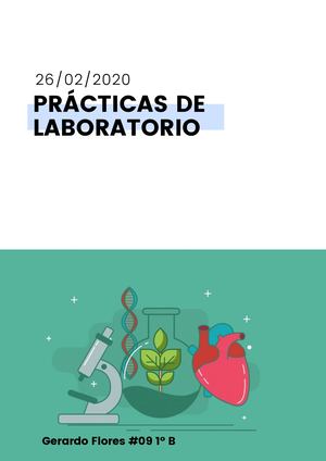 Prácticas De Laboratorio