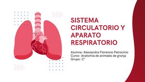 Sistema Circulatorio Y Aparato Respiratorio