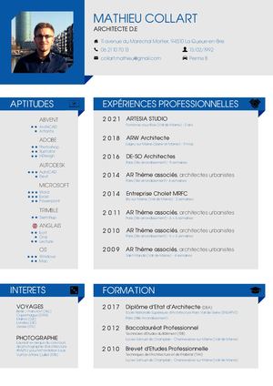Mathieu Collart - CV