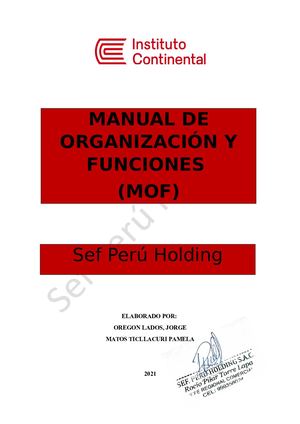 Manual De Organización Y Funciones De Sef Perú Holding