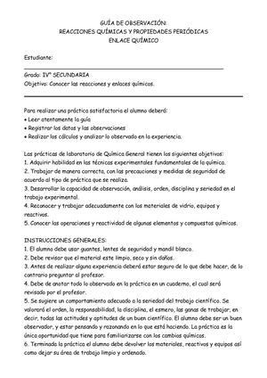 Guía De Observación Acharte
